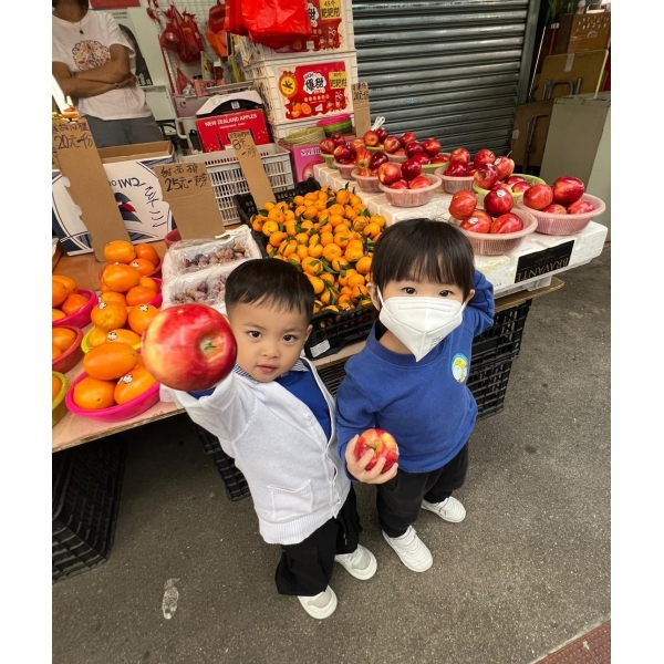 WhatsApp Image 2025-11-08 at 8.09.03 AM (1)