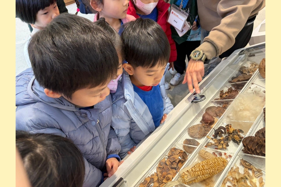 綠化教育資源中心 (17)