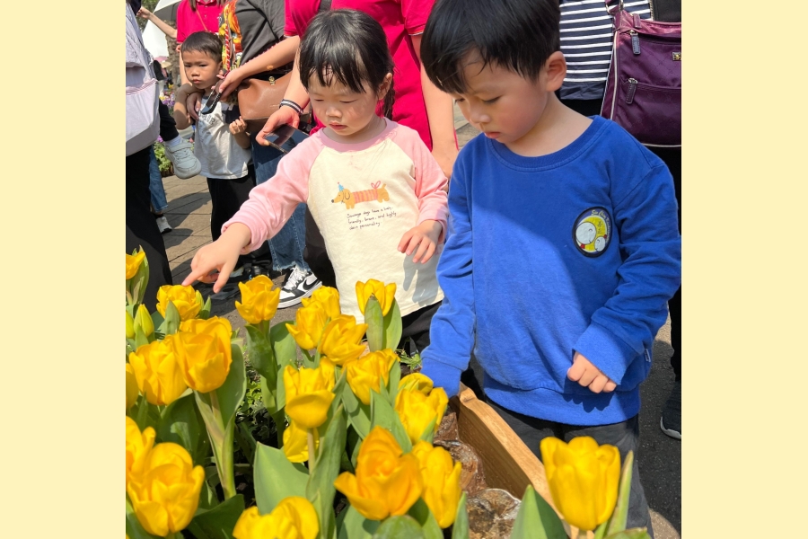 WhatsApp Image 2026-04-11 at 10.35.00 AM