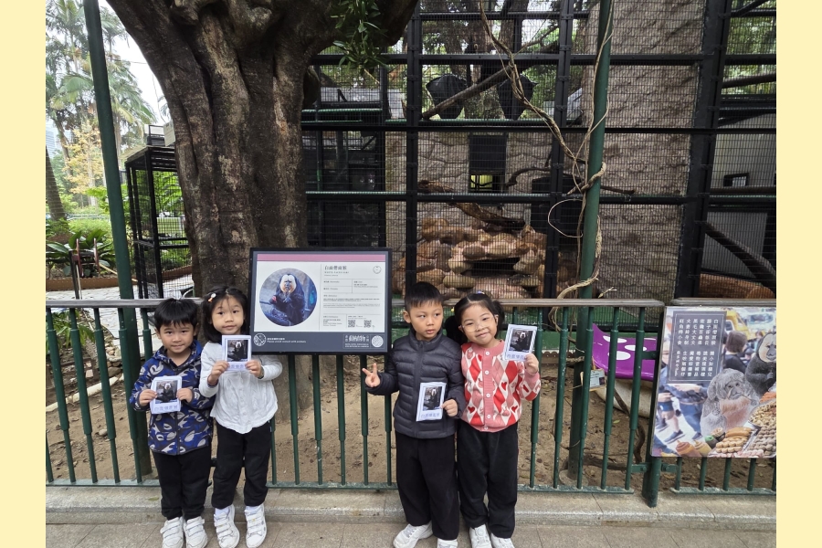 WhatsApp Image 2026-02-02 at 13.50.07 (3)