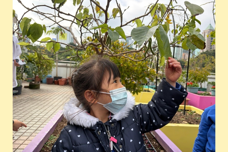 綠化教育資源中心 (11)